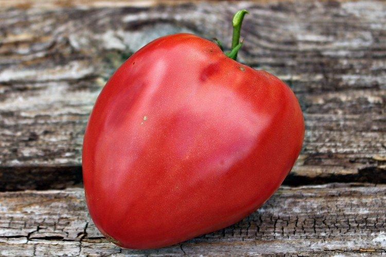 luchshie sorta tomatov nazvaniya foto 1200 47818
