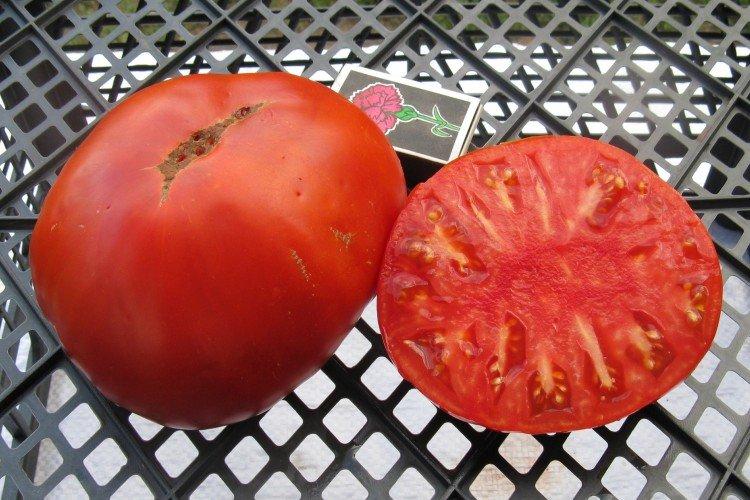 Король гигантов - Лучшие сорта томатов для теплиц