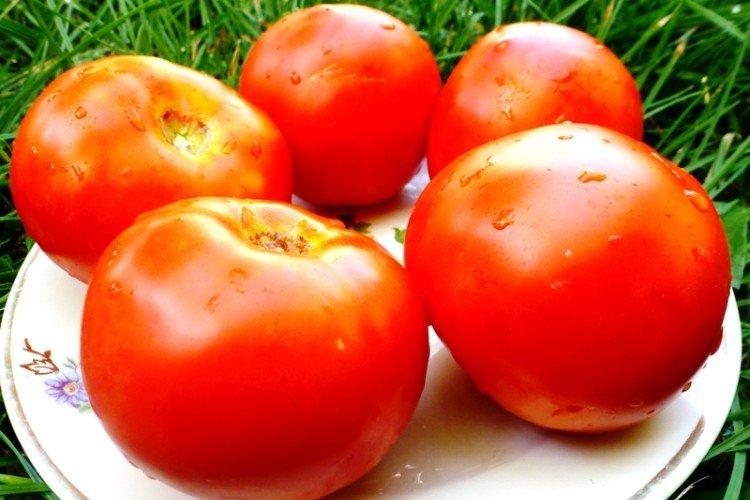 luchshie sorta tomatov nazvaniya foto 1200 47851