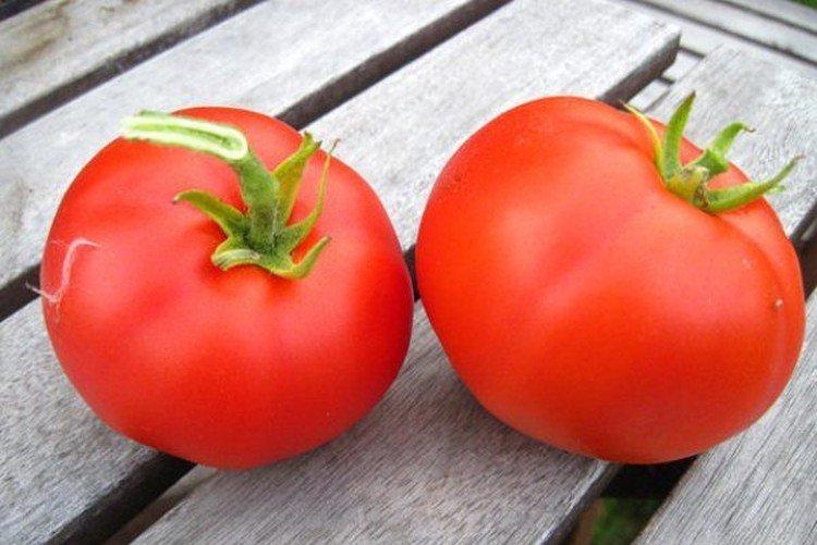 luchshie sorta tomatov nazvaniya foto 1200 47853
