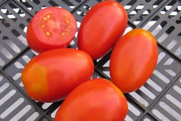 luchshie sorta tomatov nazvaniya foto 1200 47873