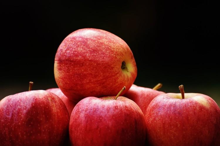 Лучшие сорта яблонь для подмосковья с фото и описанием