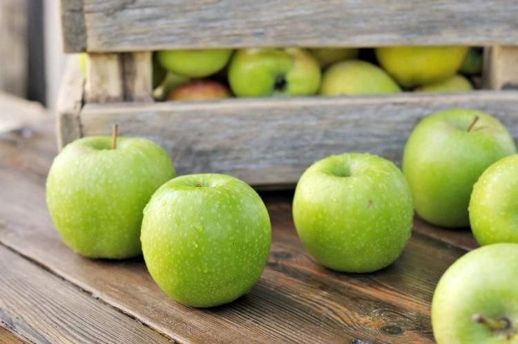 Зеленые яблоки: лучшие сорта с названиями и фото (каталог)