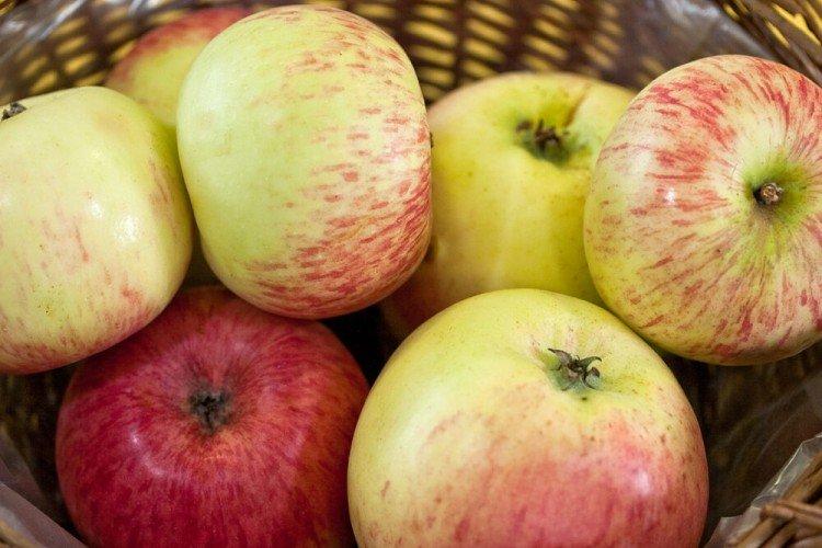 Боровинка - Лучшие сорта зеленых яблок для Ленинградской области
