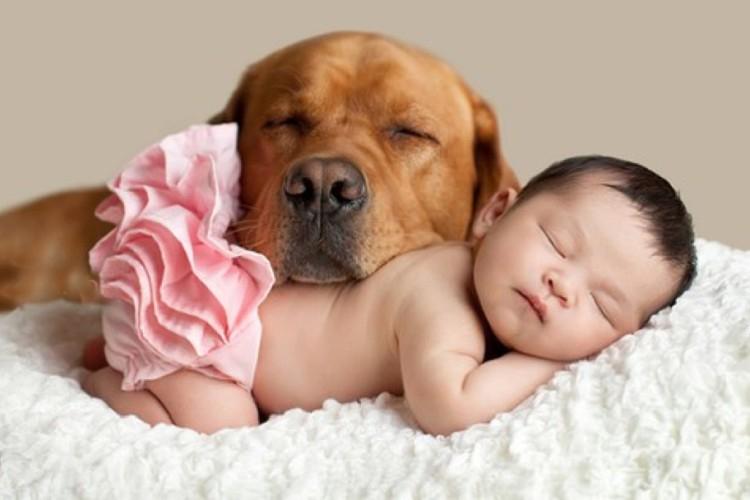 Маленькие дети и их большие собаки: 10 душевных фото