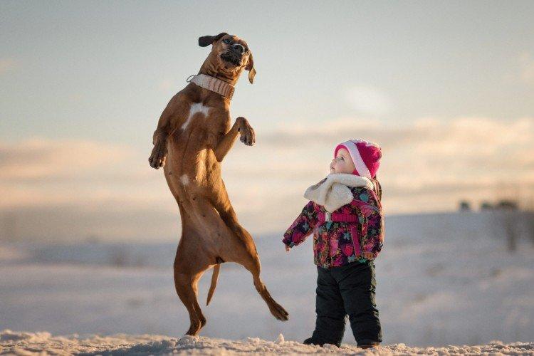 Потанцуем - Маленькие дети и их большие собаки
