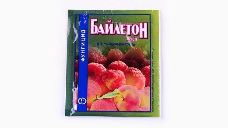 Байлетон - Обработка смородины от мучнистой росы
