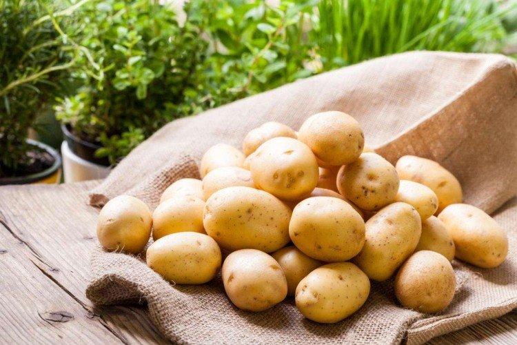 Картофельный компресс - Народные средства от кашля