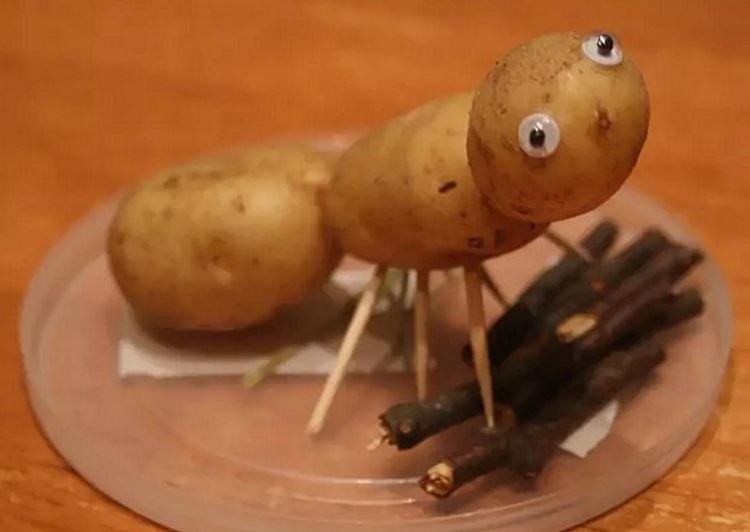 Картофельный муравей - Поделки из овощей для детского сада