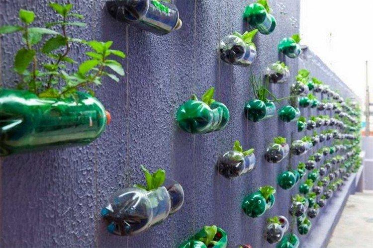 Зеленая стена - Поделки из пластиковых бутылок своими руками