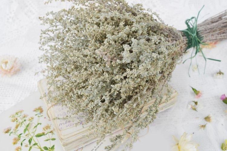 От похмелья - Лечебные свойства полыни
