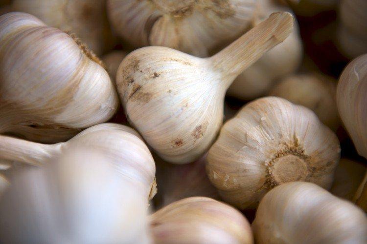 Чеснок - продукты, повышающие иммунитет