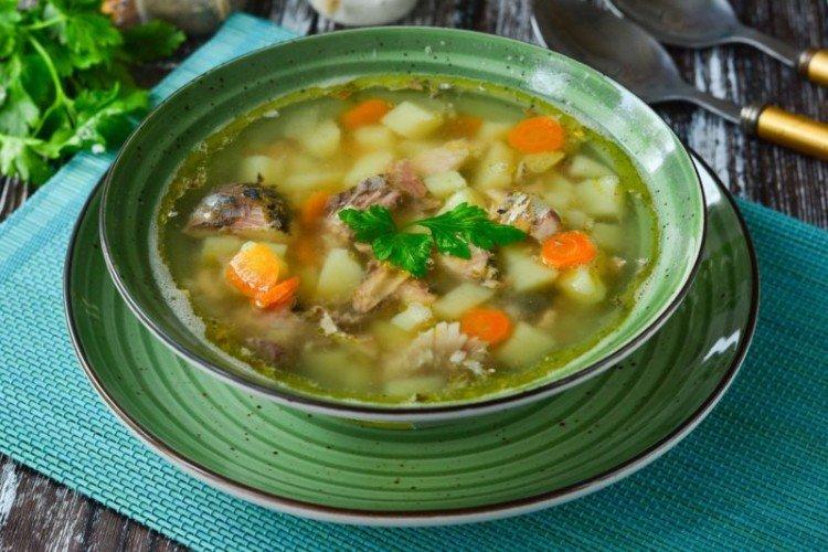 Суп из скумбрии в масле - Рыбный суп из консервов рецепты