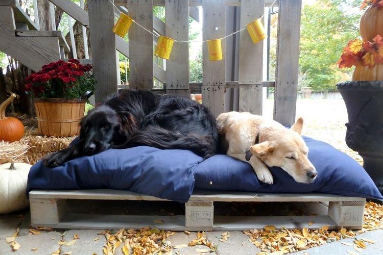 Лежанка для собаки - Садовая мебель из поддонов для дачи фото