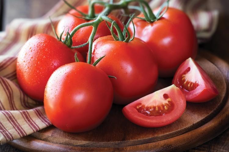 Лучшие сорта томатов урожайные