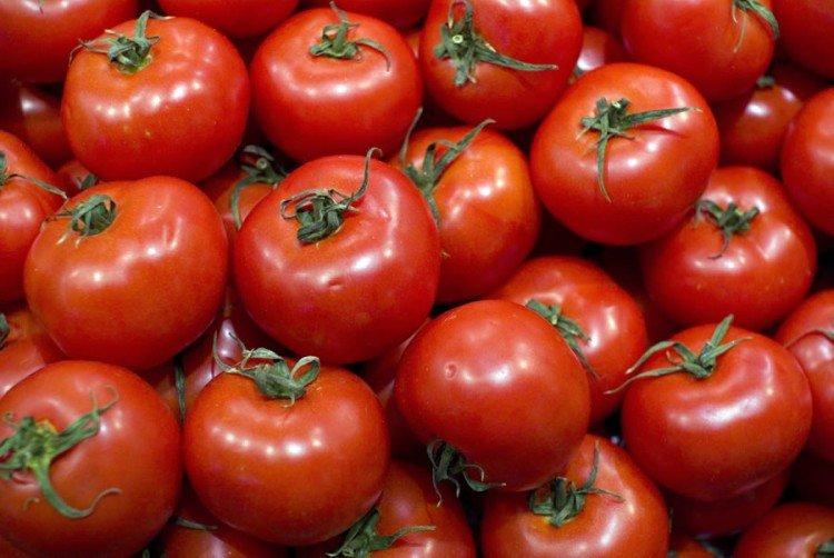 Поиск - Высокоурожайные сорта томатов для теплиц