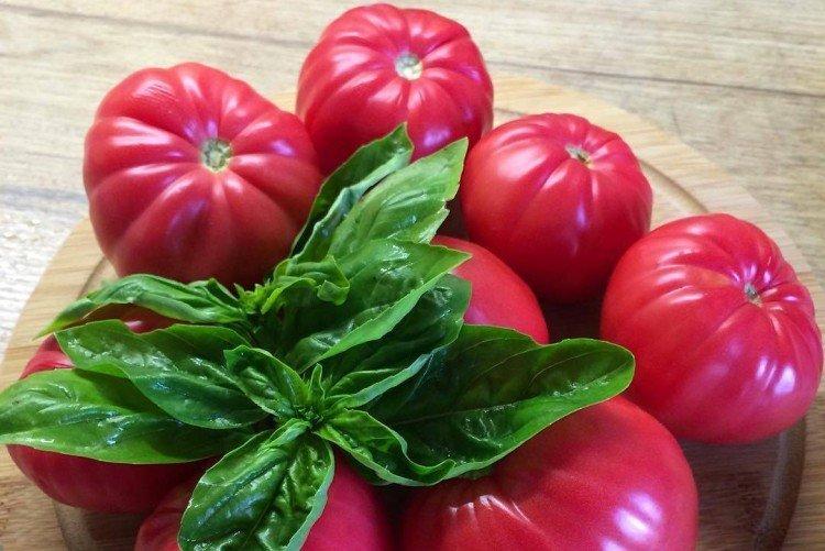 Урожайный розмарин - Высокоурожайные сорта томатов для открытого грунта