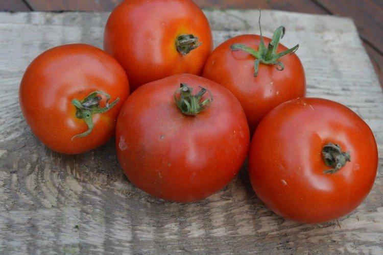 Фаталист - Высокоурожайные сорта томатов для открытого грунта