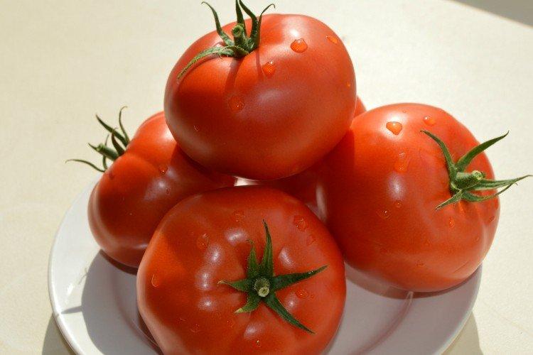 Фанат - Высокоурожайные сорта томатов для открытого грунта