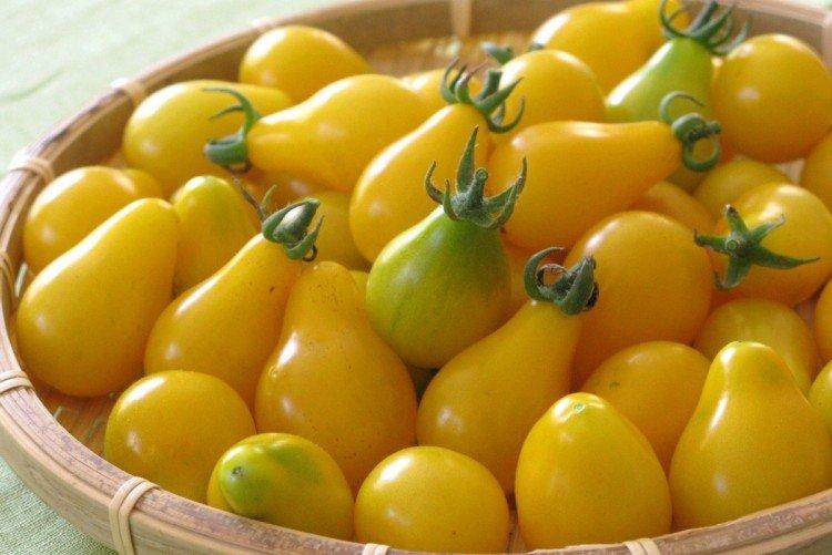 Белый мускат - Высокоурожайные сорта томатов черри