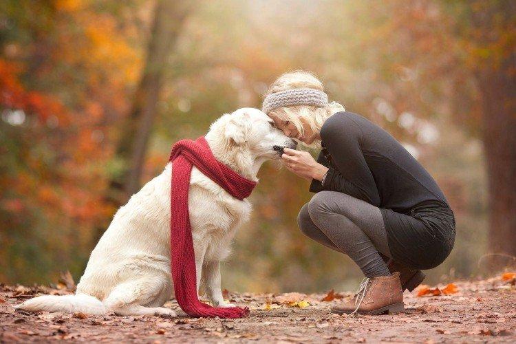 Любовь и внимание - Сколько живут собаки