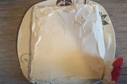 tort iz pechenya bez vypechki recepty poshagovo foto 1161 46126