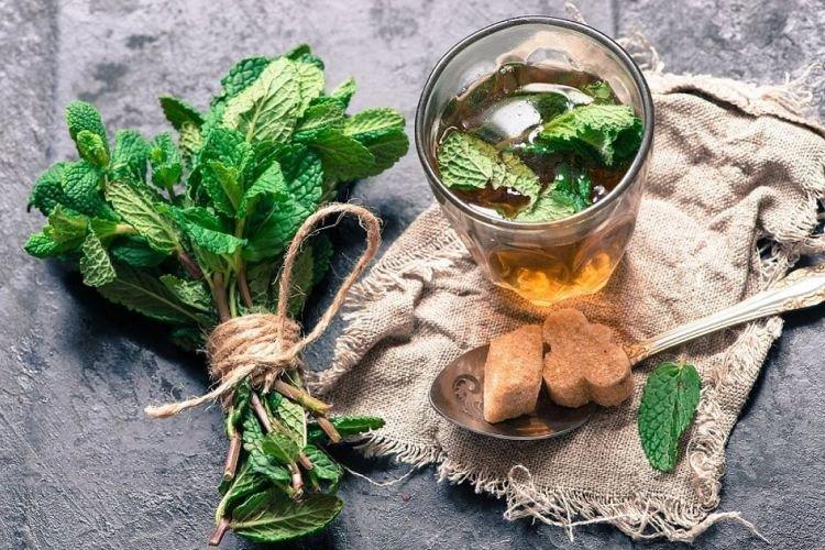 Перечная мята - Желчегонные травы при застое желчи