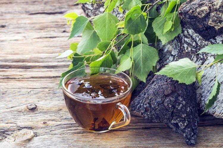 Березовые листья - Желчегонные травы при застое желчи