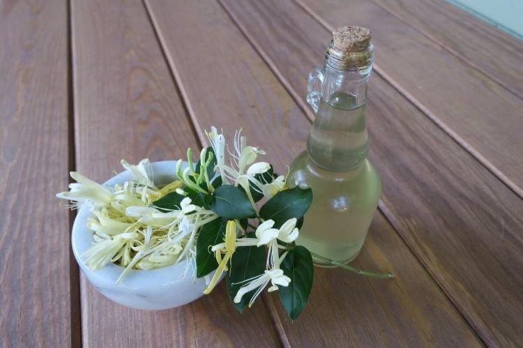 Масло жимолости - Народные рецепты Масло жимолости - Народные рецепты