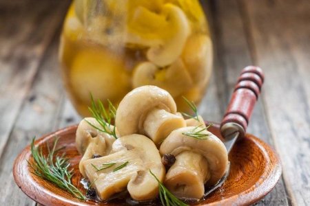 Маринованные грибы на зиму: 15 классных рецептов