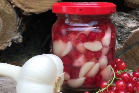 Маринованный чеснок с красной смородиной Маринованный чеснок с красной смородиной