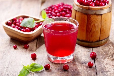 15 рецептов морса из брусники, который придется по вкусу каждому