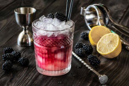 20 лучших рецептов коктейлей с джином