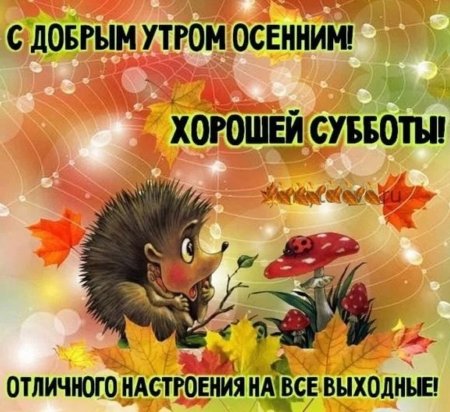 Открытки и картинки «Доброе утро субботы!» - красивые, нежные и ...