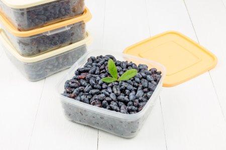 6 лучших рецептов, как заморозить жимолость на зиму