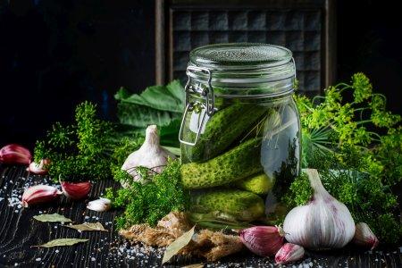 Хрустящие маринованные корнишоны без стерилизации на зиму