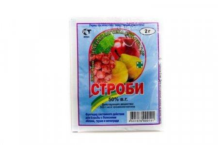 Фунгицид Строби: описание и инструкция по применению