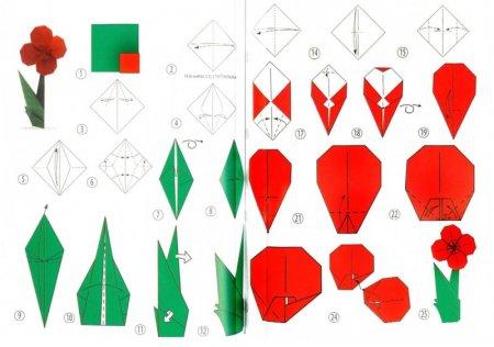 Мак - Как сделать оригами цветы из бумаги