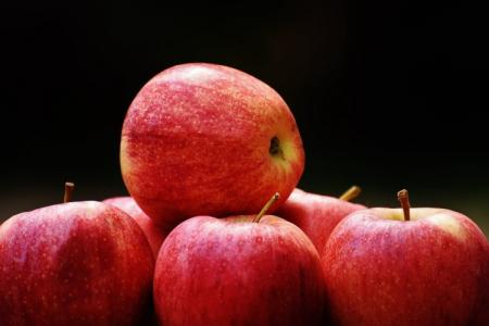 Лучшие сорта яблок для Подмосковья: фото, названия и описания (каталог)